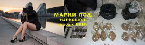 СК Бронницы