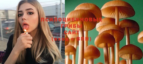 спиды Вязники