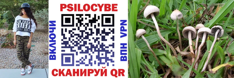 Псилоцибиновые грибы MAGIC MUSHROOMS  ссылка на мегу ТОР  Иланский 